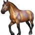 July 17-19, 2015 Â§ Kentucky Horse Park, Lexington, KY